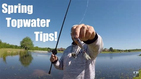 Spring Bass Fishing In Depth Topwater Tips Youtube