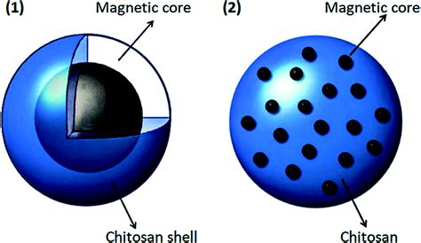 Microfluidics For Coreshell Drug Carrier Particles A Review RSC