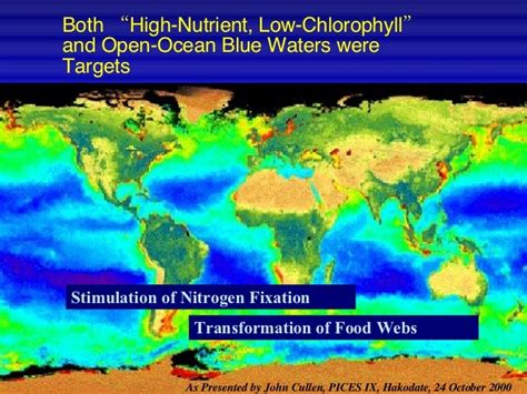 Science Policy And Large Scale Fertilization Of The Ocean For Carbon