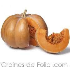 Courge Musqu E De Provence Tranche De Kg Kg Bio La Damotte