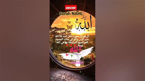 Surah Nahl Ayat 4 7 Quran Quranvideo قرآن Surahnahl Islamicgirlaffi Quranalkarim