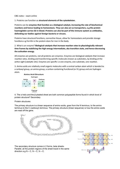 CBG Notes Proteins Can Function As Structural Elements Of The