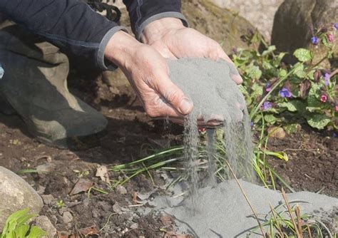 Mączka bazaltowa naturalny i ekologiczny dodatek do gleby dla