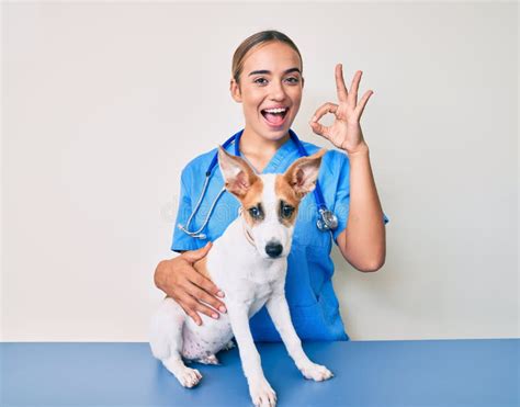 Young Beautiful Blonde Veterinarian Woman Checking Dog Health Doing Ok