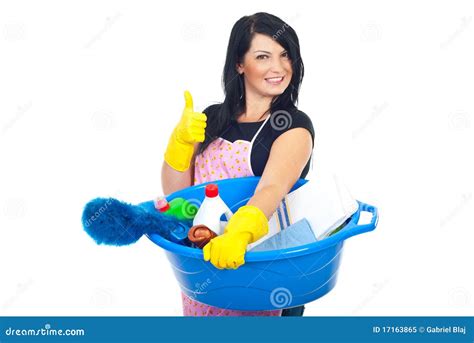 Successful Cleaning Woman Stock Image Image Of Hold 17163865