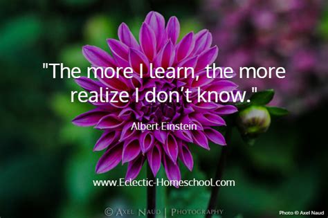 Top 20 Homeschool and Parenting Quotes – Eclectic Homeschooling