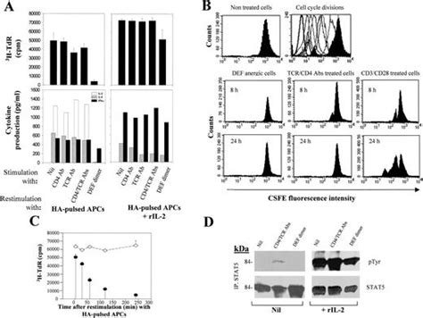 A Model for Antigen-Specific T-Cell Anergy: Displacement of CD4-p56lck Signalosome from the ...