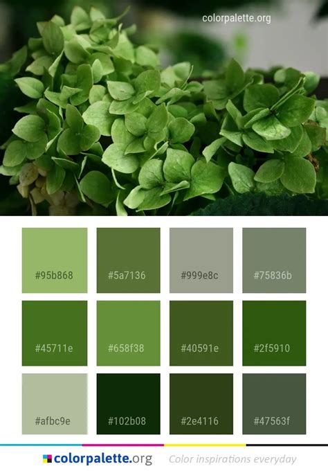 Plant Leaf Flower Color Palette