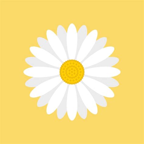 Flor de margarita blanca aislada sobre fondo amarillo ilustración