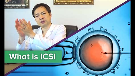 Is Icsi Effective New Hope Fertility Center Nyc Youtube