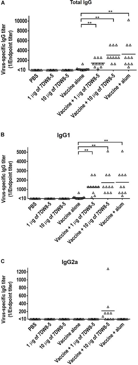 Frontiers A Glycolipid Adjuvant 7dw8 5 Enhances The Protective