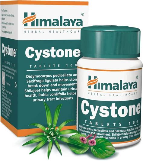 Himalaya Cystone 60 Tablet At Rs 135 Bottle Cystone Himalaya In