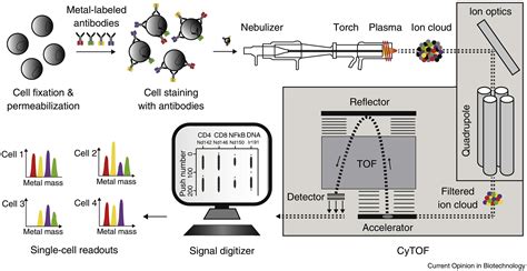 Applications Of Mass Cytometry In Clinical Medicine Clinics In