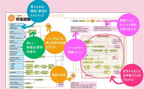 楽天ブックス エビデンスに基づく症状別看護ケア関連図 第3版 阿部俊子 9784805889213 本