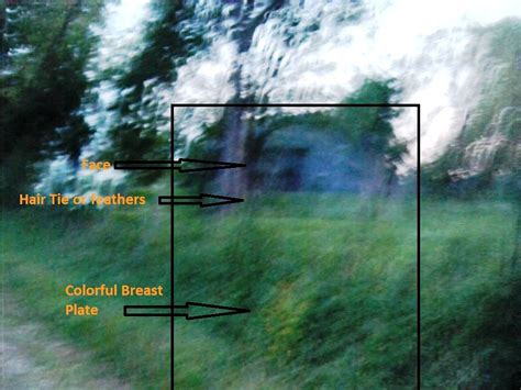 Native American Ghost Or Pareidolia Unexplained Mysteries Image Gallery