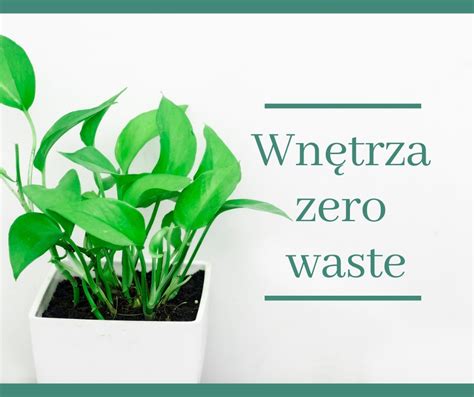 Zero Waste W Kuchni Czyli Jak Sprz Ta Kupowa I Wyrzuca Eko