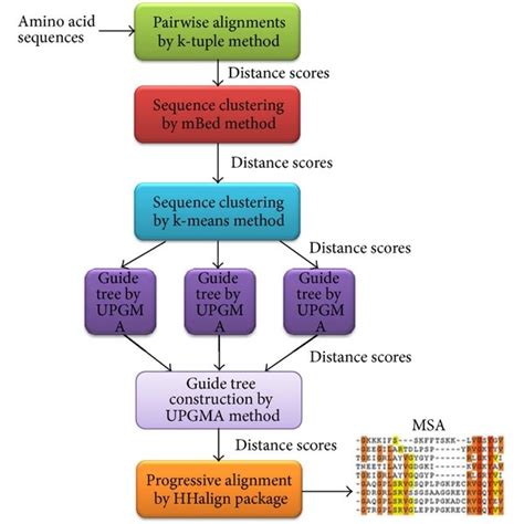 Clustal Omega Algorithm Which Works By Taking An Input Of Amino Acid