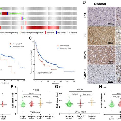 Genetic Alteration And Protein Expression Analysis Of Five Gene Download Scientific Diagram