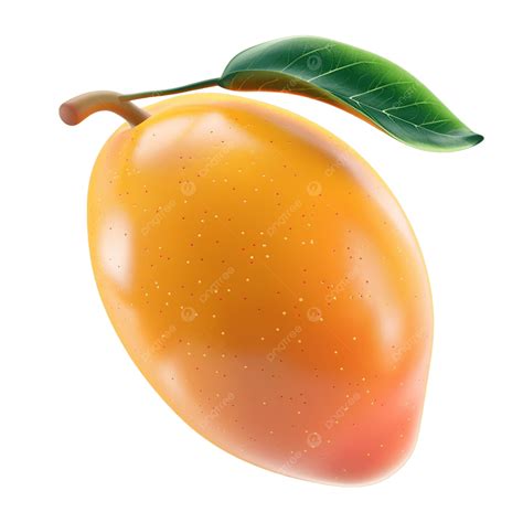 Sapota During Pregnancy 2