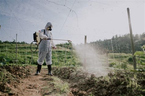 Inquinamento Da Pesticidi E Fertilizzanti Di Cosa Si Tratta GreenStyle