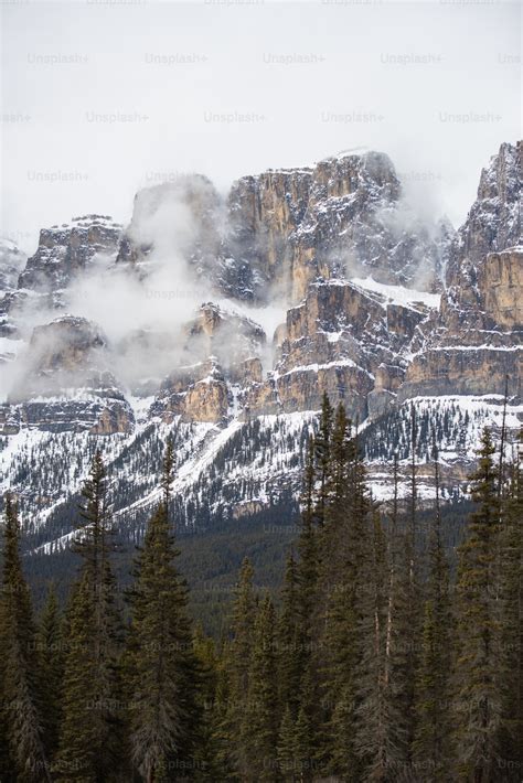 A snowy mountain with trees photo – Mountains Image on Unsplash