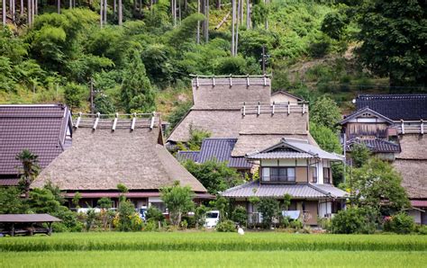 The Flower of Japan - Union of Kansai Governments - CNN