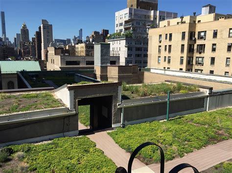 Regis High School - Greenroofs.com