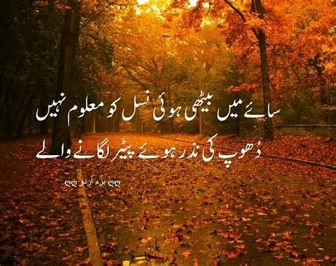 549 Best Images About Urdu Poetry On Pinterest