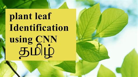 Plant Leaf Identification Using CNN YouTube