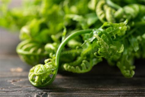 Asian Edible Fern Or Fiddlehead Fern On Wooden Table Stock Photo