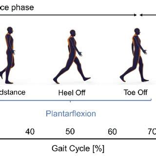 Specific phases, events and dorsi-and plantarflexion of right foot ...