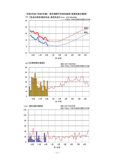 令和6年産 5年播 麦生育情報no 1 高島地域農業センター