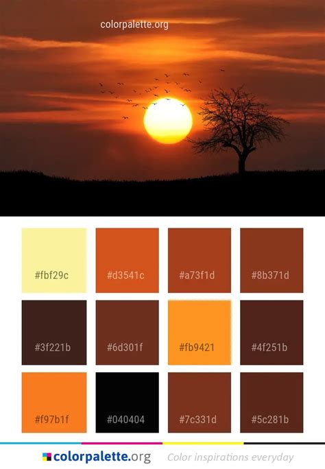 Sky Sun Sunset Color Palette | colorpalette.org