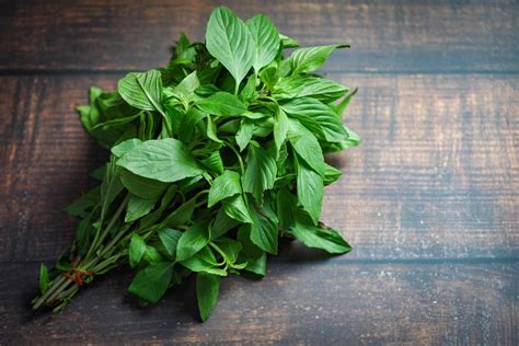 basil leaf on wooden background - fresh green basil leaves for cooking ...