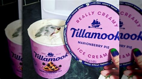 Every Tillamook Ice Cream Flavor Ranked