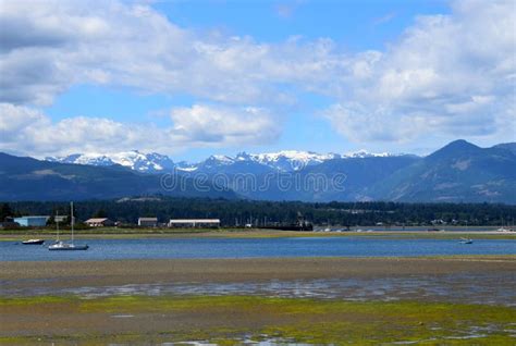 Beach Landscape Goose Spit Park Comox Stock Foto Image Of Toneel