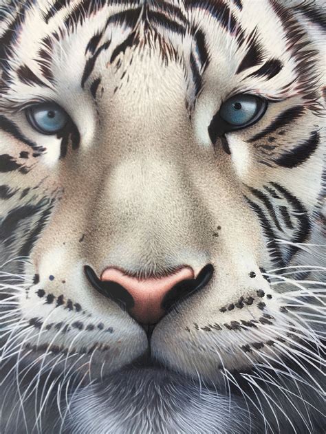 White Tiger Painting White Tiger Artwork Water Color | Etsy