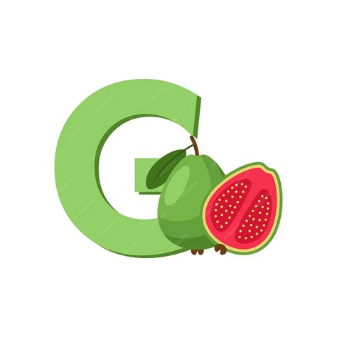 Letra do alfabeto de frutas g para educação de goiaba para crianças ...