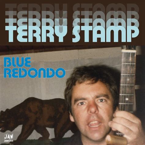 New Record Pressing Terry Stamp Gotta Groove Records