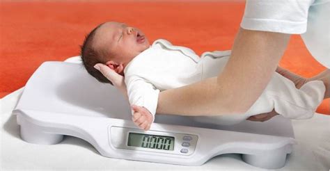 Ganho De Peso Bebê 4 Meses - Estagnação no ganho de peso de bebê: causas e soluções - Bebé da Mamã ...