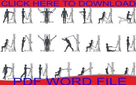 Shoulder Workouts Cable Workout Bowflex Workout Cable Machine Workout