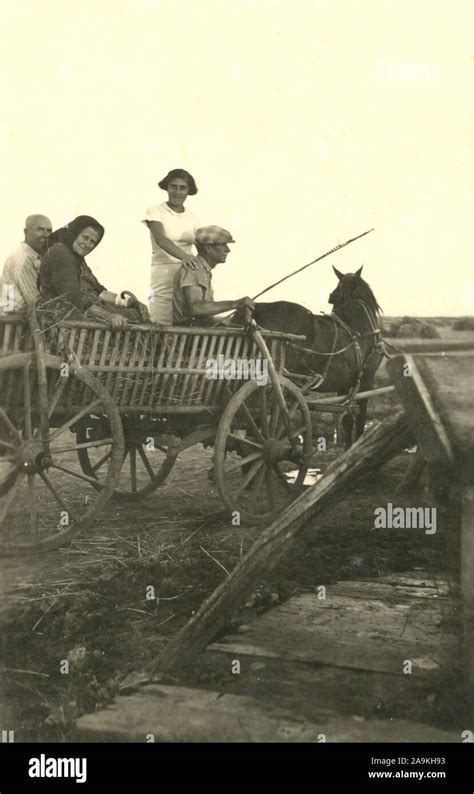 Wagen Von Einem Pferd Gezogen Fotos Und Bildmaterial In Hoher