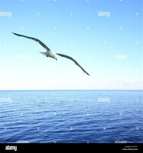 Seascape Composition Hi Res Stock Photography And Images Alamy