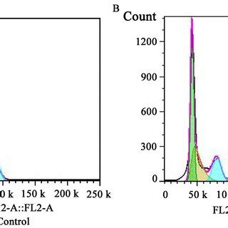 BK Channel Activity In RMSCs A Representative Whole Cell Currents