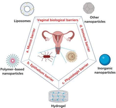 Vaginal Drug Delivery Systems To Control Microbe Associated Infections