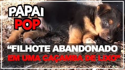 Filhote de cachorro abandonado na caçamba de lixo YouTube