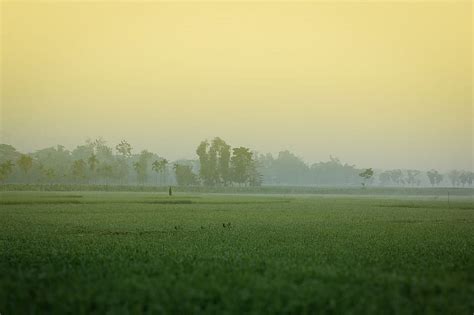 Winter Morning Bangladesh HD Wallpaper Pxfuel