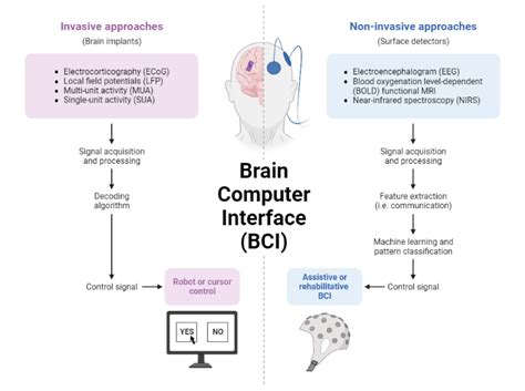 Brain Computer Interface (BCI) | BioRender Science Templates