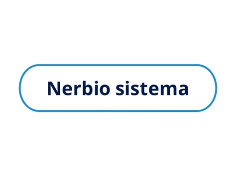 Nerbio Sistema Mind Map