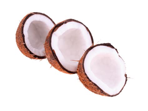 Page 3 Coconut Png Pngs For Free Download